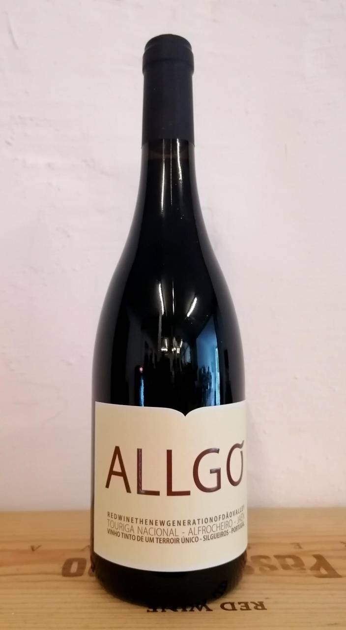 CM Allgo Tinto 2019